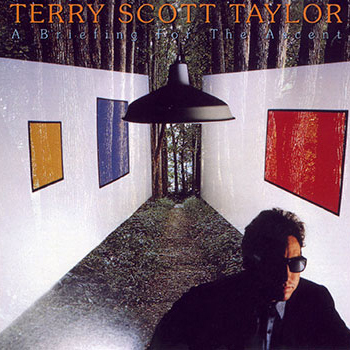 Terry Scott Taylor ~ A Briefing for the Ascent